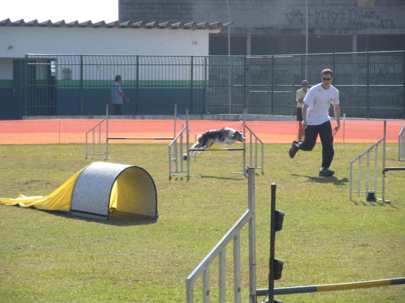 medicina veterinaria esportiva veterinario esporte esportes