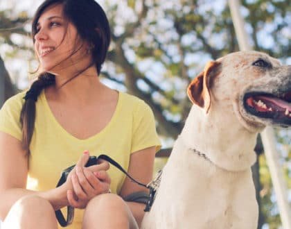 Rotina de exercícios com seu animal