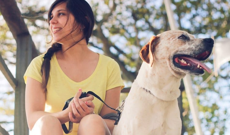 Rotina de exercícios com seu animal
